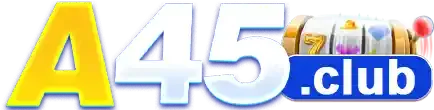 aa45com.info Logo